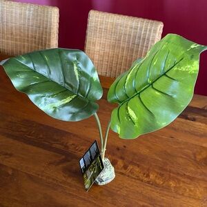 New Exo-Terra Smart Plant Scindapsus Ideal for Terrariums